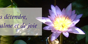 Cours de yoga : pour vous détendre, venez passer un moment de détente et de joie